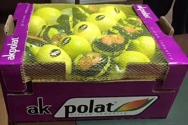 Polat Narenciye (Polat Citrus Industry) - Resim 11