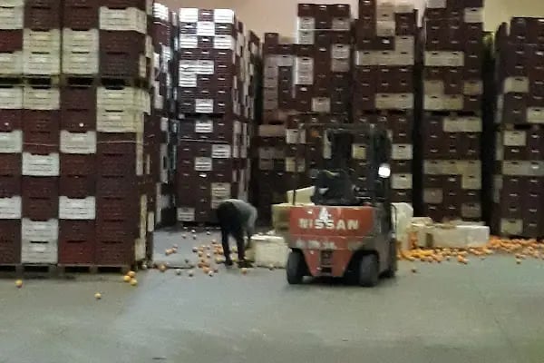 Polat Narenciye (Polat Citrus Industry) - Resim 15
