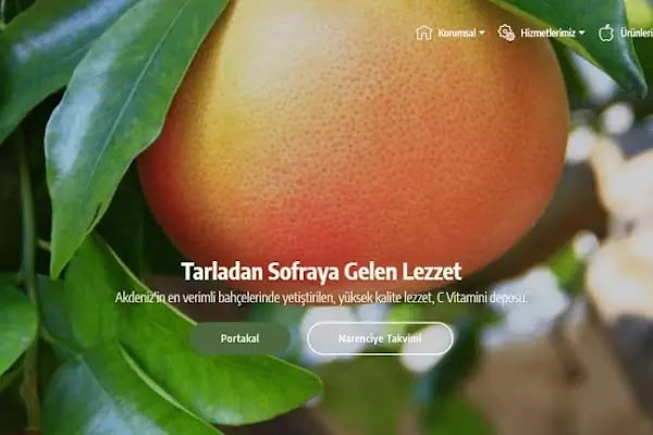 Polat Narenciye (Polat Citrus Industry) - Resim 3