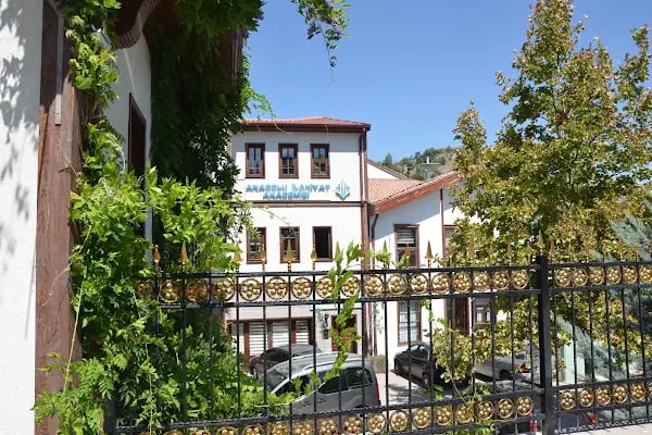 Anadolu İlahiyat Akademisi - Resim 11