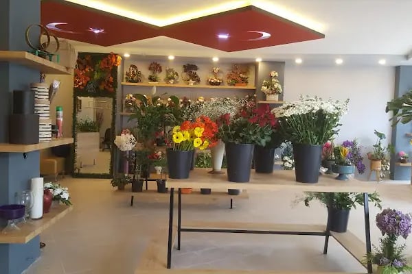 Uluslararası Dilek Çiçekçilik Ve Organizasyon - Resim 1