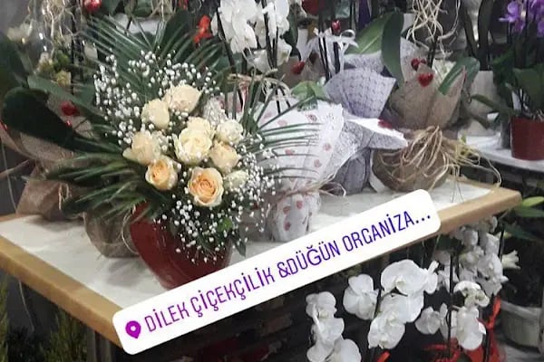 Uluslararası Dilek Çiçekçilik Ve Organizasyon - Resim 7