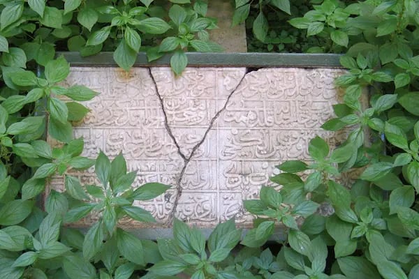 Âşık Yunus Türbesi - Resim 14