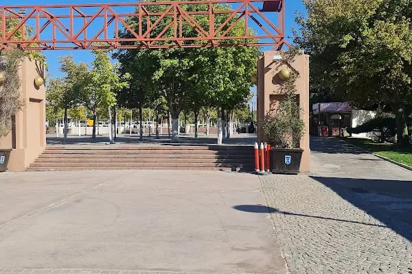 Ankara altınpark gokart - Resim 6