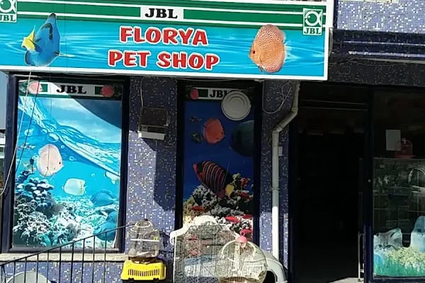 Florya Akvaryum Petshop - Resim 3
