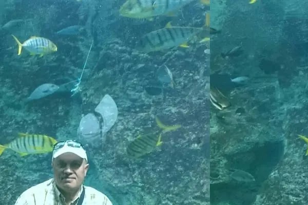 Florya Akvaryum Petshop - Resim 14