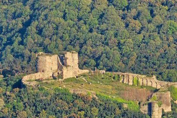 Milli Parklar Kuş Gözlem Kulesi - Resim 16