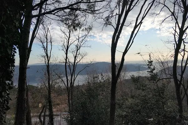 Milli Parklar Kuş Gözlem Kulesi - Resim 17