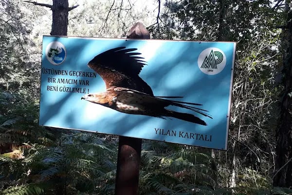 Milli Parklar Kuş Gözlem Kulesi - Resim 14