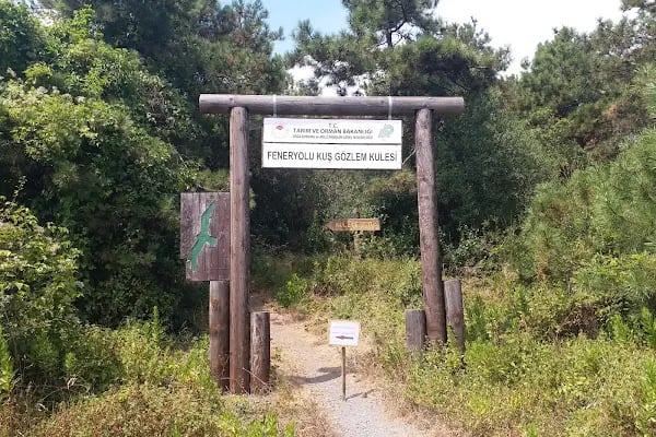 Milli Parklar Kuş Gözlem Kulesi - Resim 13