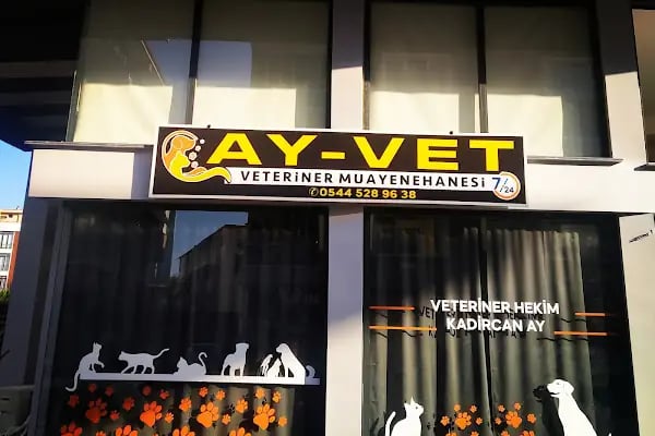 AY-VET VETERİNER MUAYENEHANESİ - Resim 6
