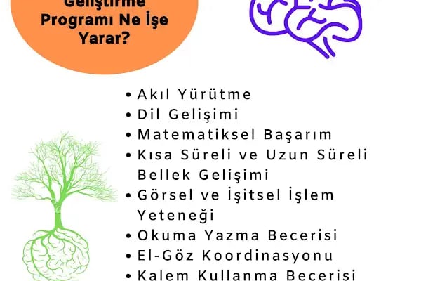 Psikolog Aslı Urundaş Uzman - Yetişkin Çocuk Ergen Psikoterapist - Resim 14