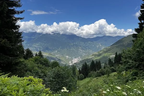 Karavan Park&amp;Çadır Kamp Alanı - Resim 2