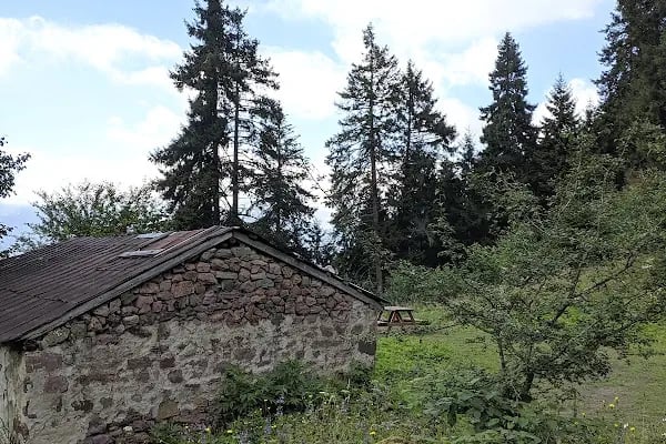 Karavan Park&amp;Çadır Kamp Alanı - Resim 10