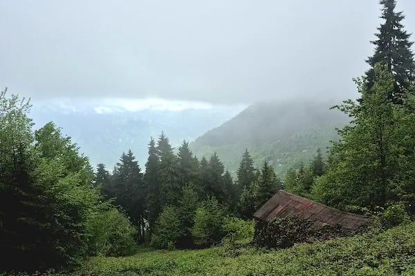 Karavan Park&amp;Çadır Kamp Alanı - Resim 19