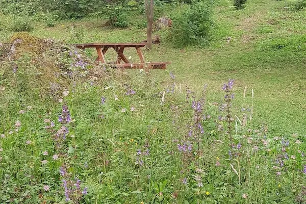 Karavan Park&amp;Çadır Kamp Alanı - Resim 6