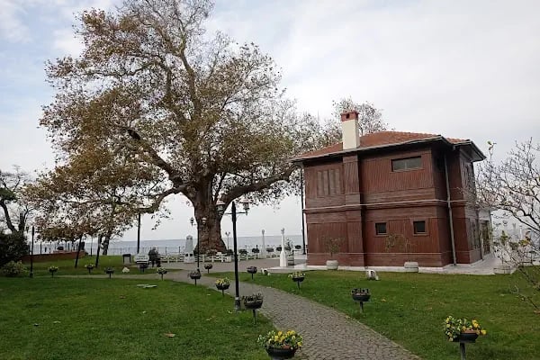 Yürüyen Köşk - Resim 4