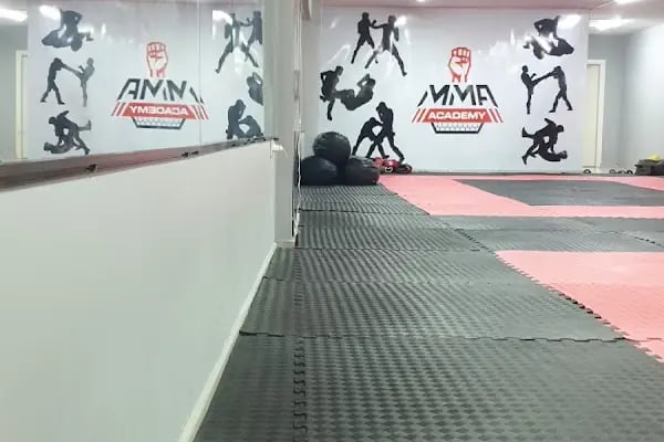 MMA Academy - Resim 7