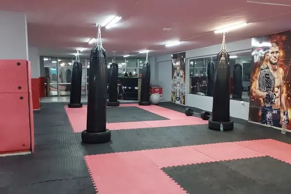 MMA Academy - Resim 12