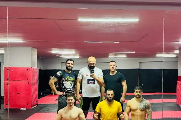 MMA Academy - Resim 2