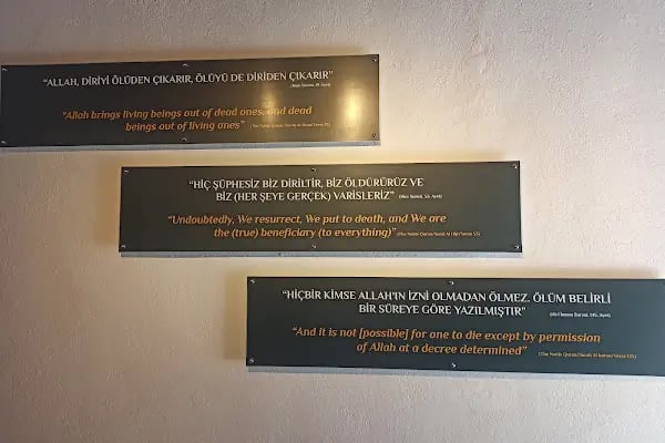 Taş Medrese Taş Eserler Müzesi - Resim 16