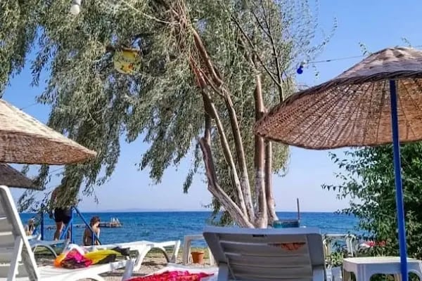 Assos Hekimoğlu Kamping - Resim 10