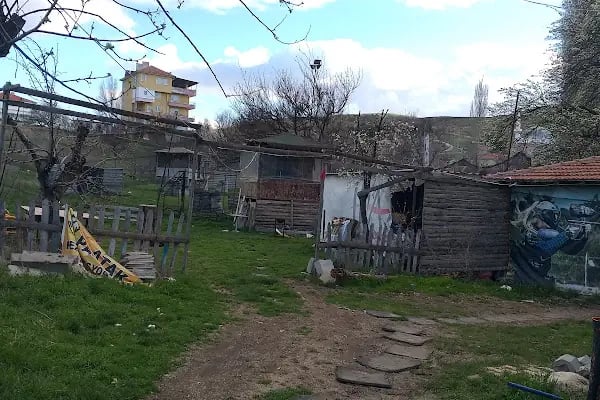 Atak Paintball Ankara - Resim 6