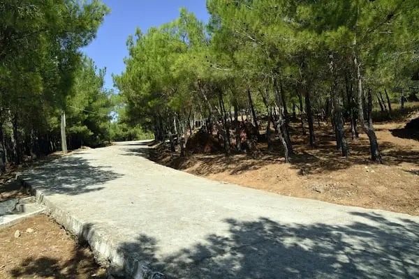 Sarımsaklı Tabiat Parkı - Resim 6