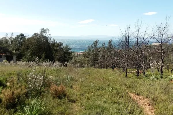 Sarımsaklı Tabiat Parkı - Resim 11