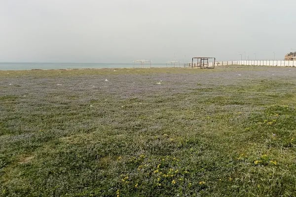 Sarımsaklı Tabiat Parkı - Resim 14