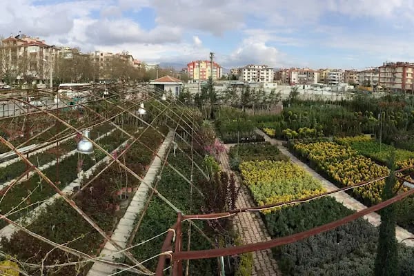 Bitim Peyzaj - Resim 14