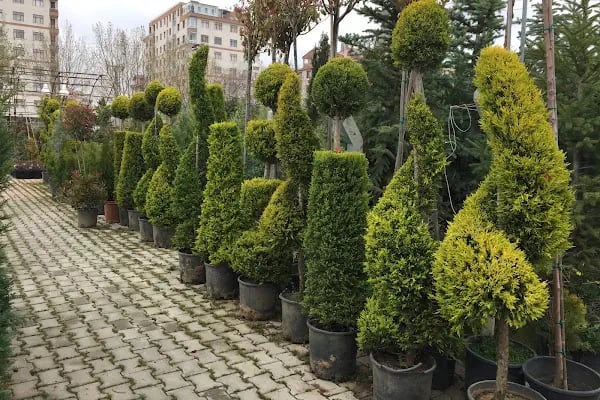 Bitim Peyzaj - Resim 7