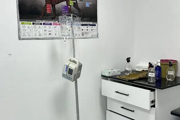 Kaan Veteriner Kliniği - Resim 6