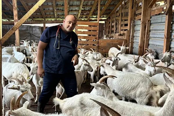 Kaan Veteriner Kliniği - Resim 2