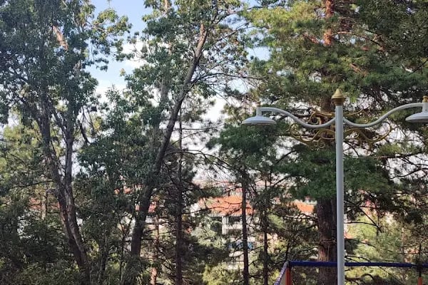 Hıdırlık Çay Bahçesi - Resim 14