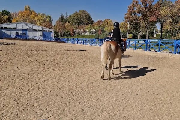Anfa Altınpark Atlı Spor Tesisleri - Resim 7