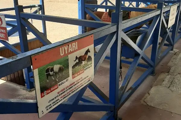Anfa Altınpark Atlı Spor Tesisleri - Resim 2