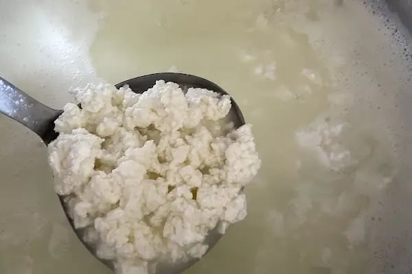 On numara organik yöresel ürünler - Resim 11