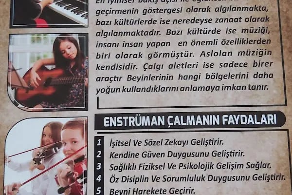 T.C. MEB ALTIN ORAN MÜZİK KURSU - Resim 6