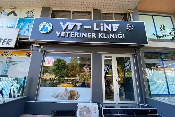 Vet-Line Veteriner Kliniği - Resim 4