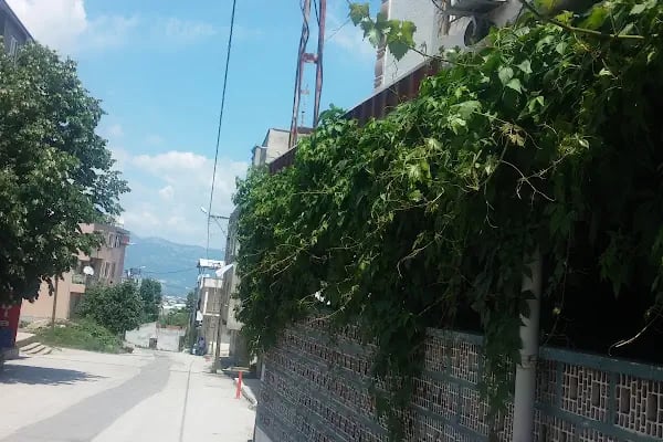 Dağdibi Market - Resim 8