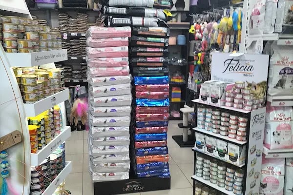 Patipati54 petshop yazlık serdivan - Resim 19