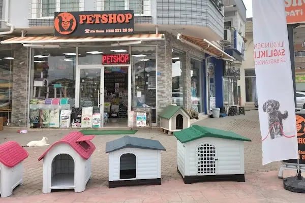 Patipati54 petshop yazlık serdivan - Resim 7