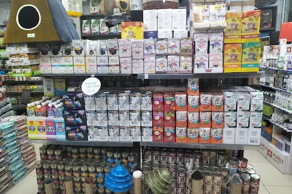Patipati54 petshop yazlık serdivan - Resim 17