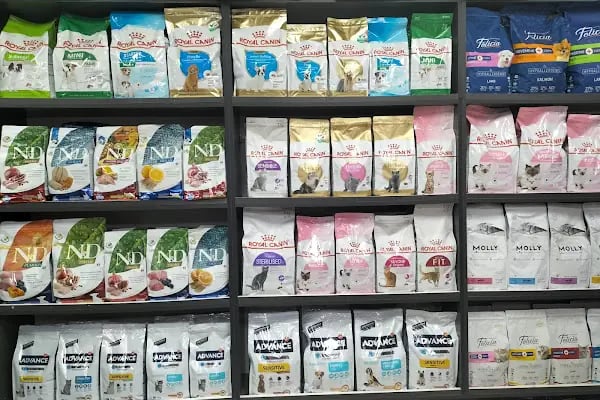 Patipati54 petshop yazlık serdivan - Resim 5
