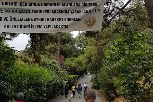 Gönüllü Caddesi - Resim 1