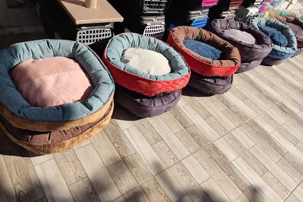 Eftelya Petshop - Resim 16