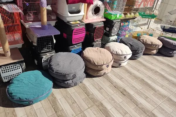 Eftelya Petshop - Resim 6