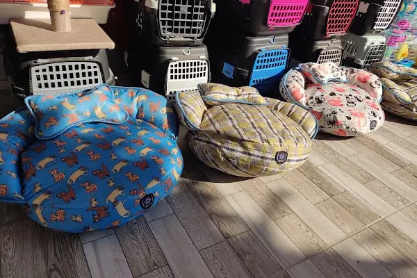 Eftelya Petshop - Resim 7