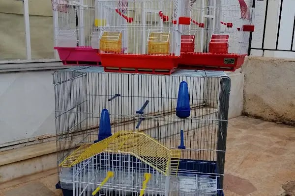 Eftelya Petshop - Resim 8